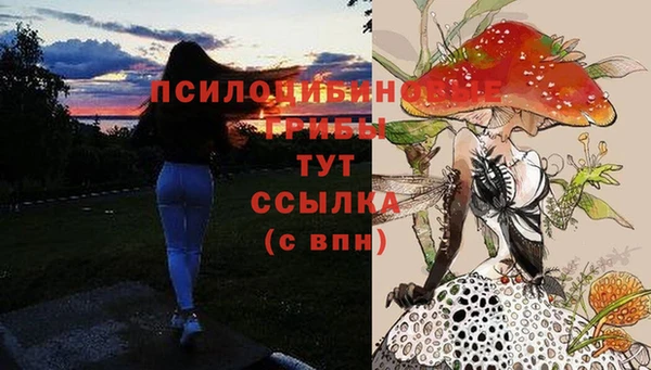 трава Абаза