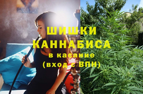 кокс Алзамай