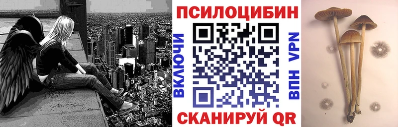 где купить   Соликамск  Галлюциногенные грибы GOLDEN TEACHER 